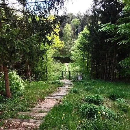 Apartament W Lesie Nad Rzeka Apartmán